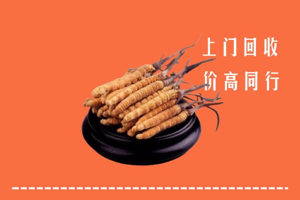 高价求购：安仁县回收散虫草