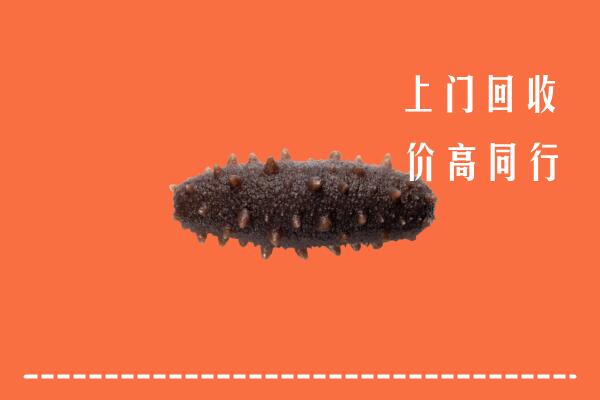 高价求购：安仁县回收海参