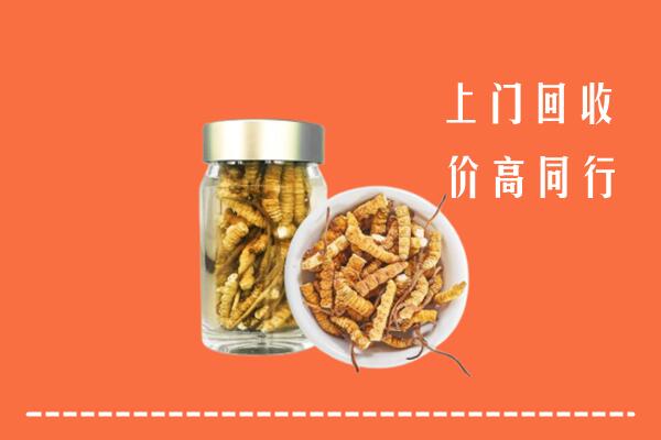 安仁县回收冬虫夏草